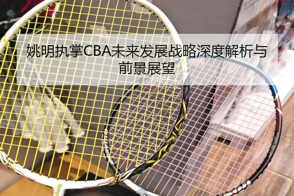 姚明执掌CBA未来发展战略深度解析与前景展望